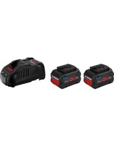 Starter Set 2 x 5.5Ah ProCORE18V + GAL 1880 CV Professional