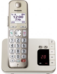 Panasonic KX-TGE260GN champagne 2