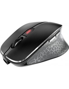 MW 8C ERGO, mouse 2