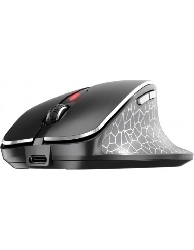 MW 8C ERGO, mouse