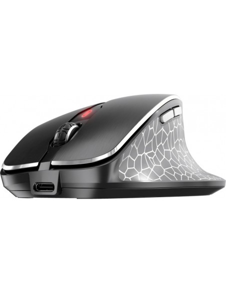 MW 8C ERGO, mouse