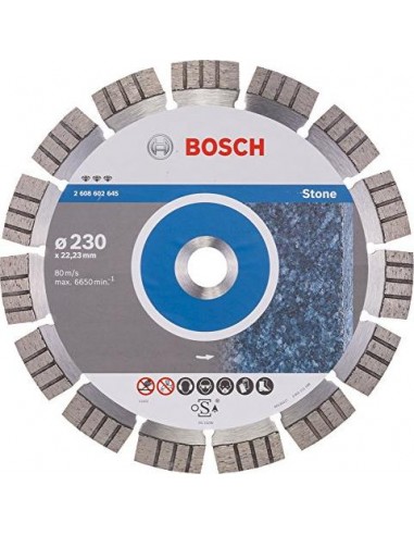 Bosch DIA-TS 230x22,23 Best Stone