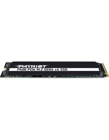 P400 1TB, SSD