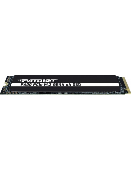 P400 1TB, SSD
