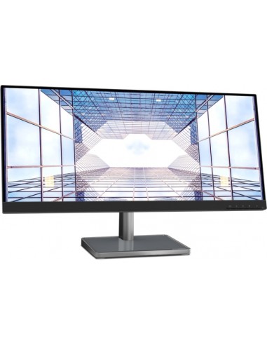 L29w-30, LED monitor