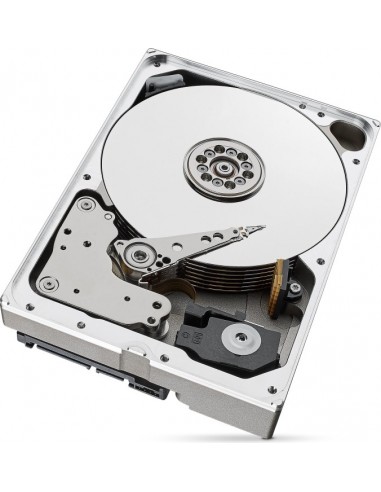 Seagate SkyHawk AI 10 TB 3.5" 10000 GB