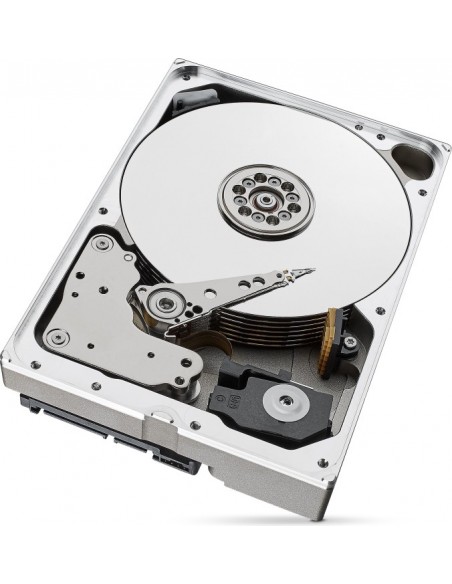 Seagate SkyHawk AI 10 TB 3.5" 10000 GB