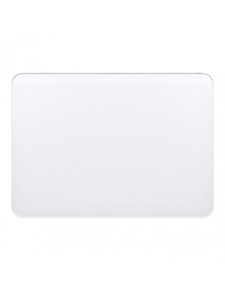 Apple Magic touch pad Wired - Wireless Silver