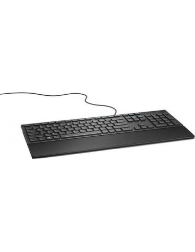 DELL KB216 keyboard USB QWERTY US International...