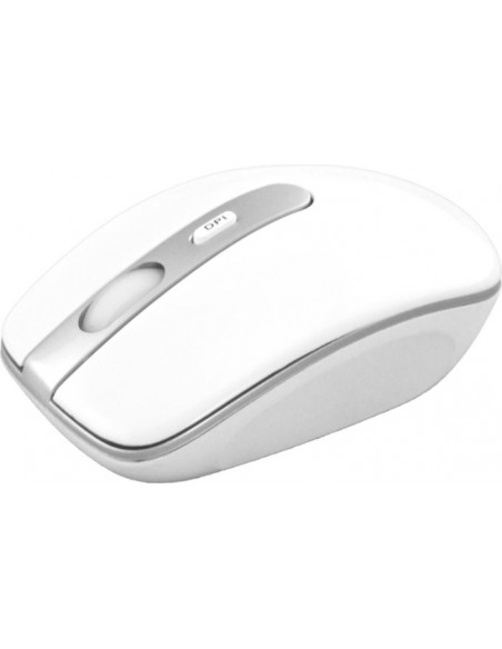 Esperanza EK122W keyboard RF Wireless QWERTY White