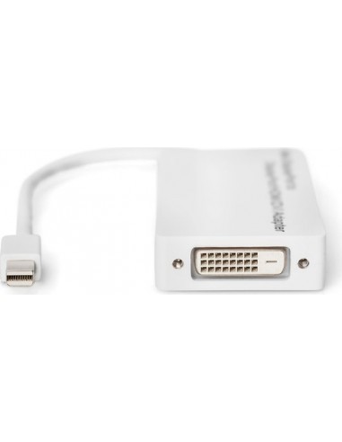DIGITUS Mini DisplayPort Adapter DisplayPort...