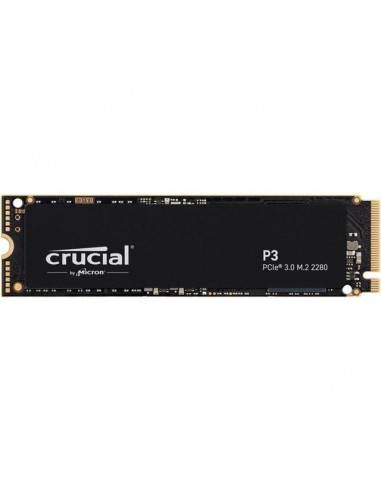 P3 500GB, SSD