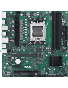 ASUS Pro B650M CT CSM (AM5) (D)