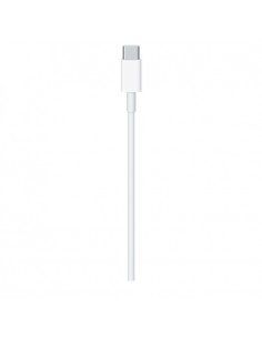 Apple USB Charging Cable C (MLL82ZM/A) 2