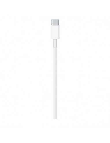 Apple USB Charging Cable C (MLL82ZM/A)