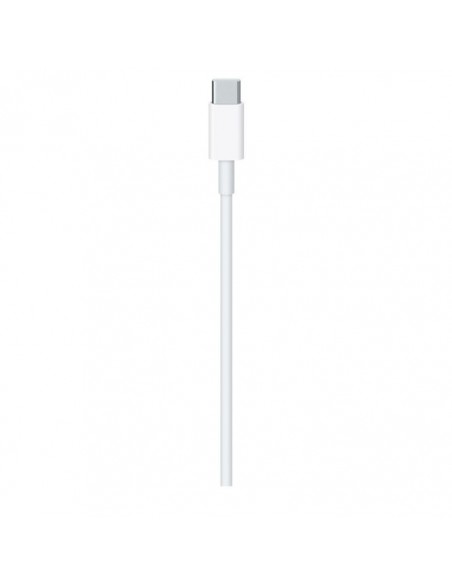 Apple USB Charging Cable C (MLL82ZM/A)