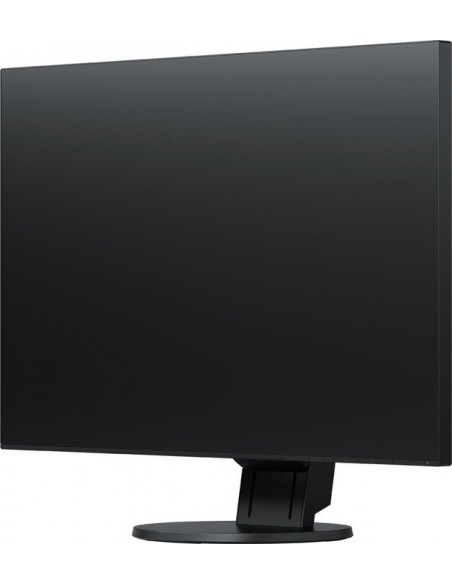 EIZO EV2456-BK, LED monitor (EV2456-BK)