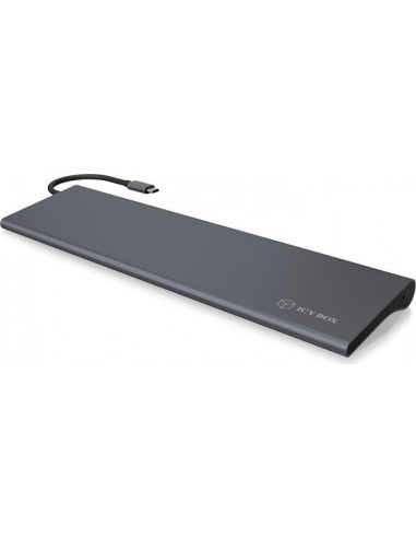 ICY BOX IB-DK2102-C, docking station (60389)