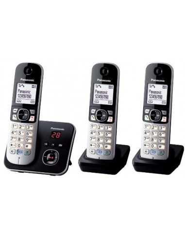 Panasonic KX-TG6823GB, analog phone (KX-TG6823GB)