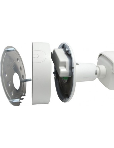 LevelOne FCS-5096, surveillance camera (FCS-5096)