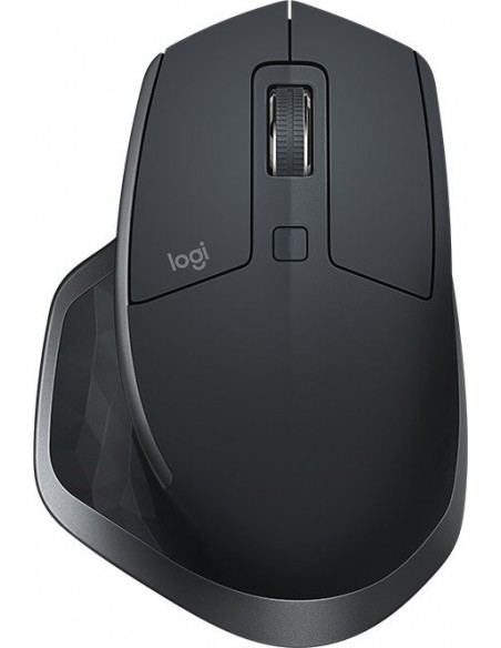 Logitech MX Master 2S, mouse (910-005139)
