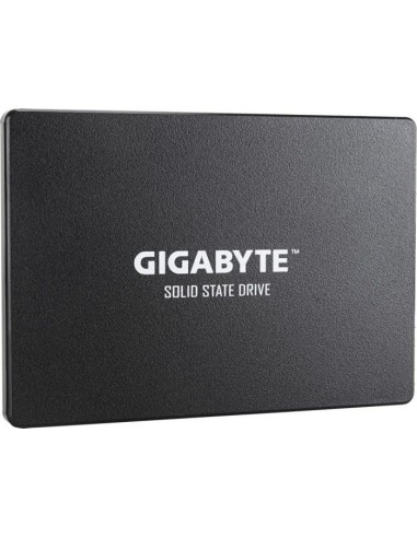 GIGABYTE SSD 240 GB Solid State Drive (GP-GSTFS31240GNTD)