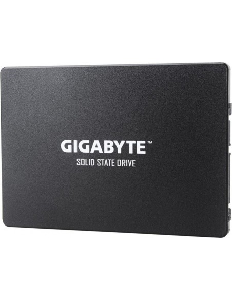 GIGABYTE SSD 240 GB Solid State Drive (GP-GSTFS31240GNTD)