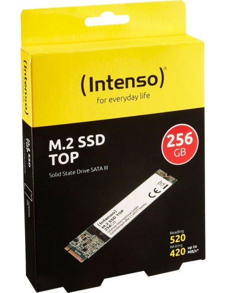 Intenso Top Performance 256 GB Solid State Drive (3832440)
