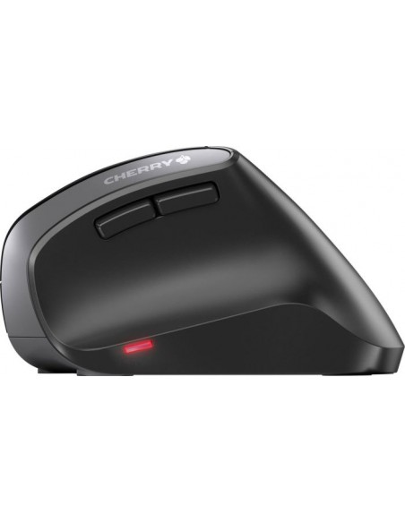 CHERRY MW 4500, mouse (JW-4500)