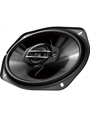 Pioneer TS-G6930F