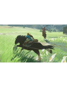 Nintendo Switch Legend of Zelda Breath of the Wild 2