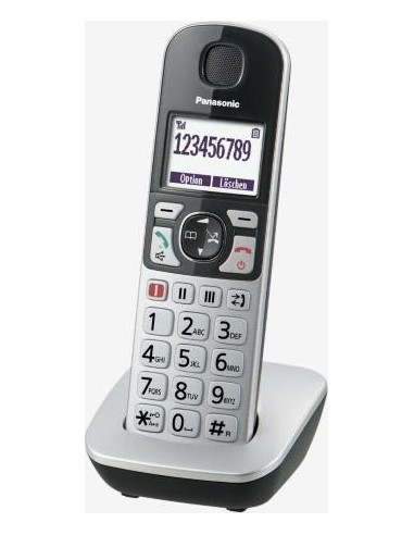 Panasonic KX-TGQ500GS silver