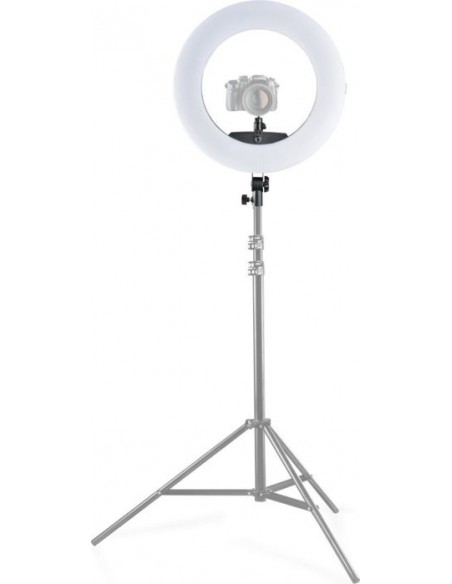 walimex pro Medow 960 Pro Bi Color Ring Light