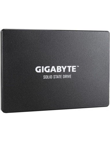 GIGABYTE SSD 256GB Solid State Drive (GP-GSTFS31256GTND)