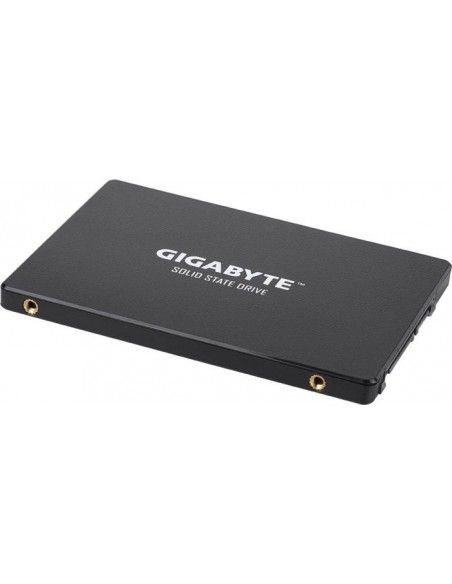 GIGABYTE SSD 256GB Solid State Drive (GP-GSTFS31256GTND)