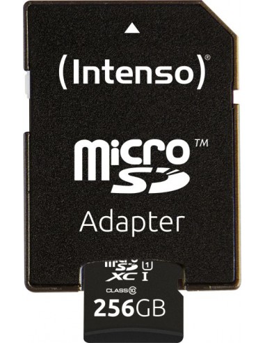 Premium 256 GB microSDHC, Memory Card