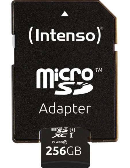 Premium 256 GB microSDHC, Memory Card