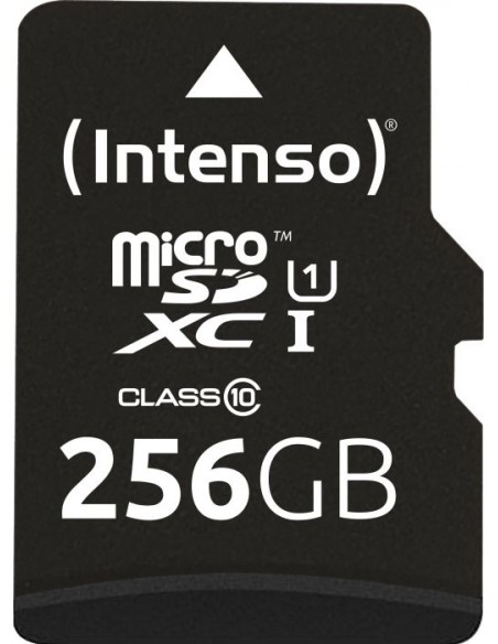 Premium 256 GB microSDHC, Memory Card