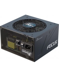 Focus GX-650, PC Power Supply 2