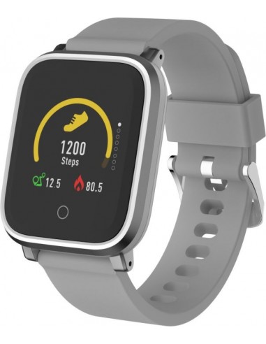 Denver SW-161 grey