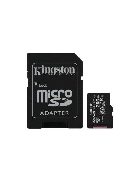 R100 256 GB microSDHC, Memory Card