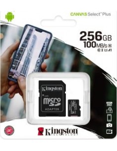 R100 256 GB microSDHC, Memory Card 2