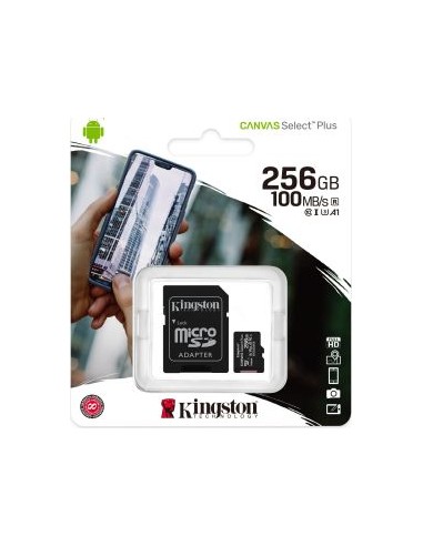 R100 256 GB microSDHC, Memory Card
