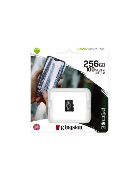 Canvas Select Plus 256 GB microSDHC, Memory Card