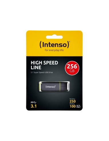 High Speed ​​Line 256GB, USB stick