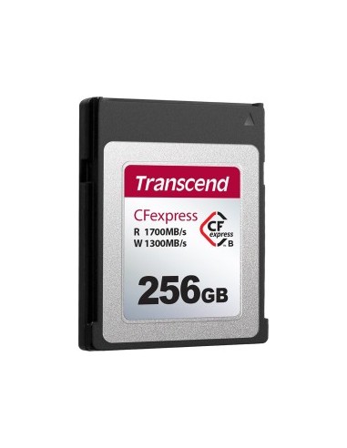 CFExpress 820256 GB memory card
