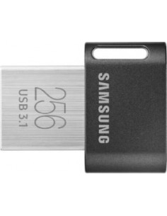 Fit Plus 256 GB, USB stick