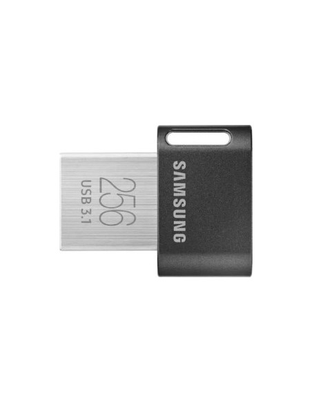 Fit Plus 256 GB, USB stick