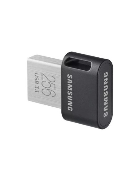 Fit Plus 256 GB, USB stick