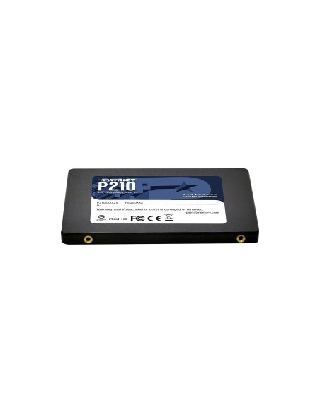 P210 1TB SSD